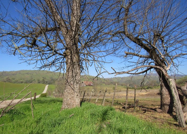 Herp Habitat